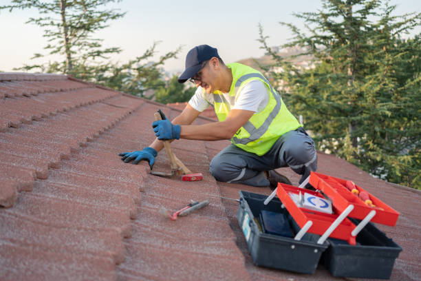 Best Roof Gutter Cleaning  in Hico, TX